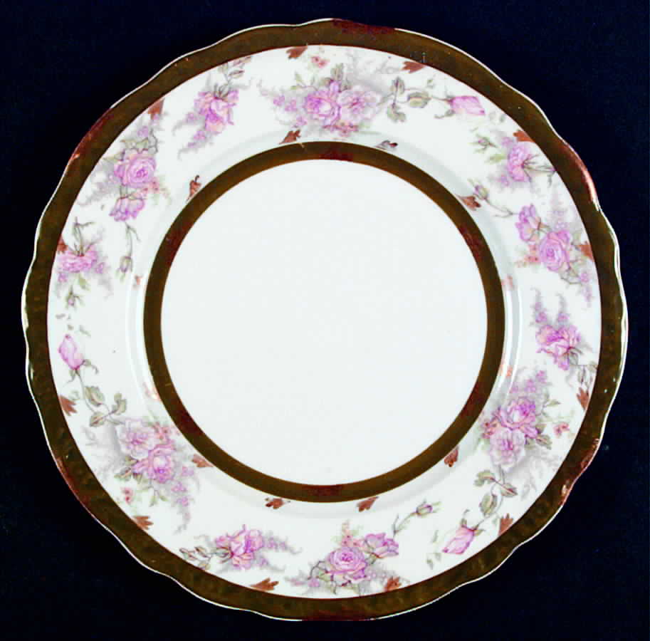 ADZ3 Luncheon Plate by A & D Limoges-1