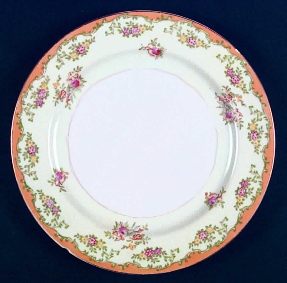 ABX2 Dinner Plate by Arboix Colon-1