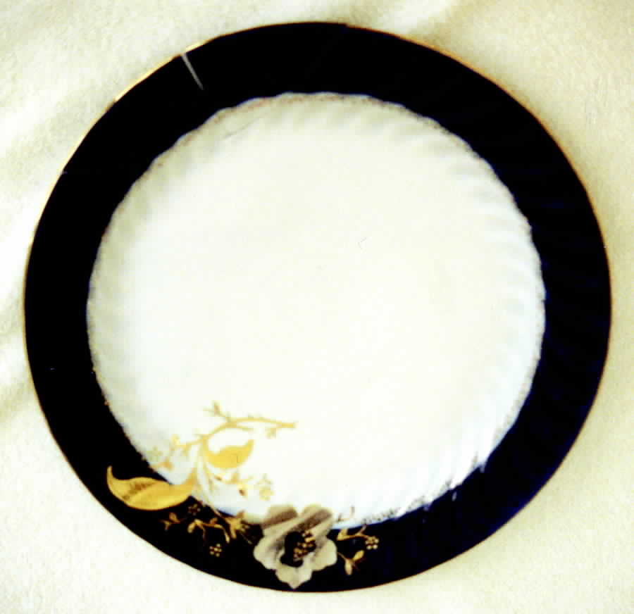 APU2 Dinner Plate by Apulum-Romania-1