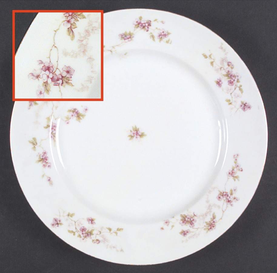 ALT657 Dinner Plate by Altrohlau-1