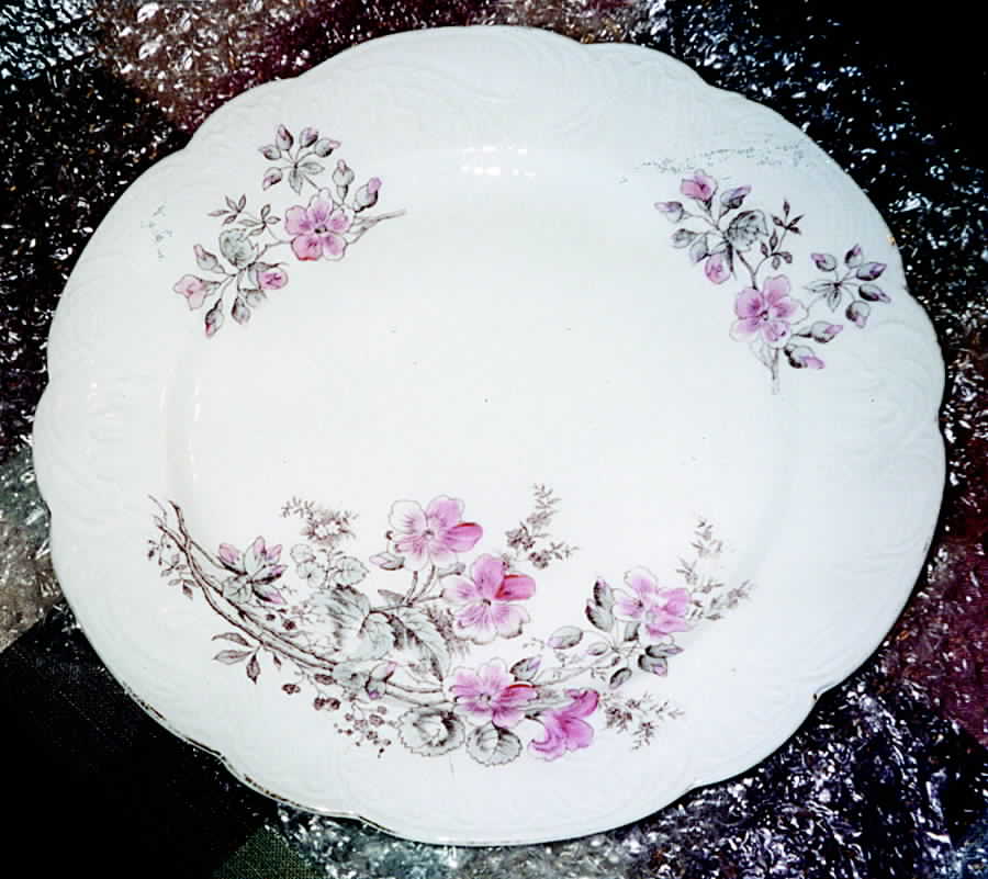 2373 Dinner Plate by Austria-1