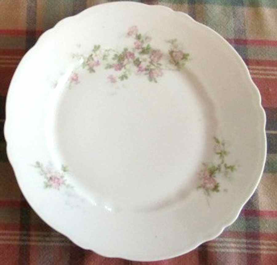 1833 Dinner Plate by Austria-1