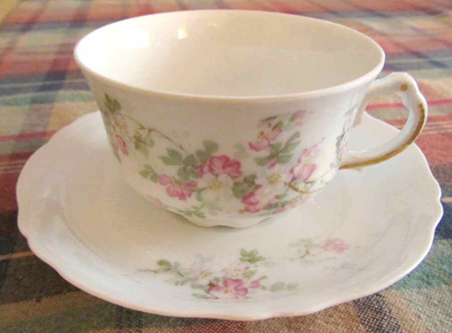1833 Flat Cup & Saucer Set by Austria-1