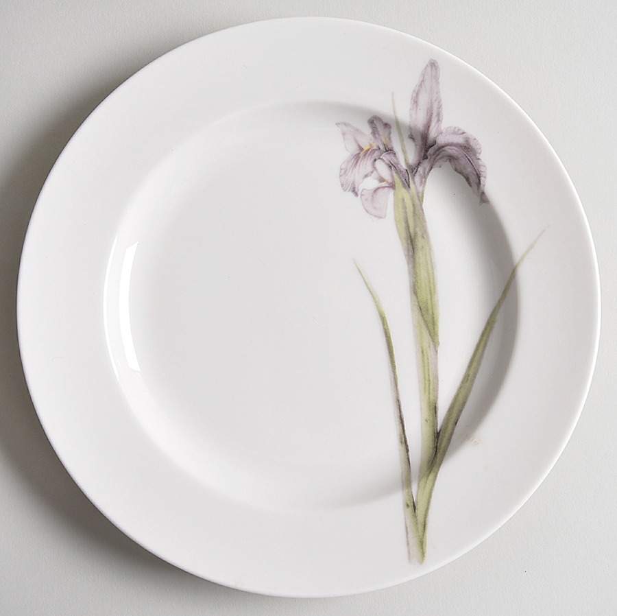 Botanica Accent Salad Plate by 222 Fifth (PTS)-1