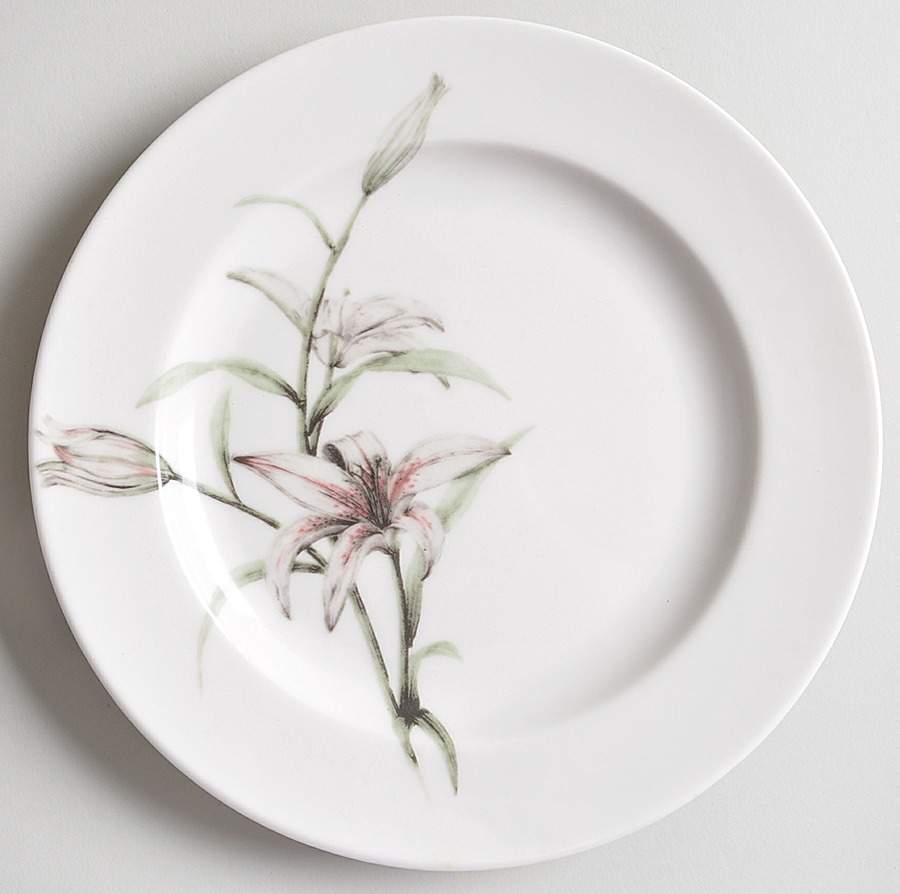 Botanica Accent Salad Plate by 222 Fifth (PTS)-1