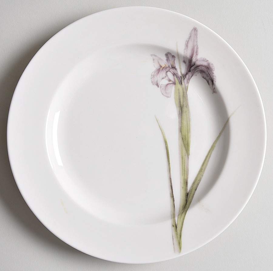 Botanica Accent Salad Plate by 222 Fifth (PTS)-1