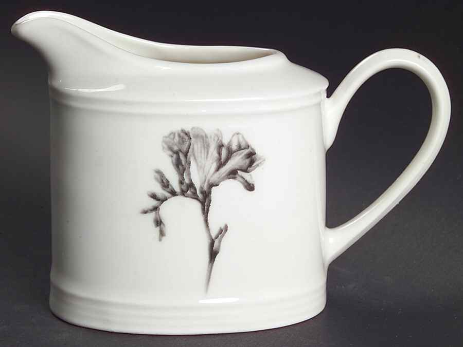 Botanica Creamer by 222 Fifth (PTS)-1