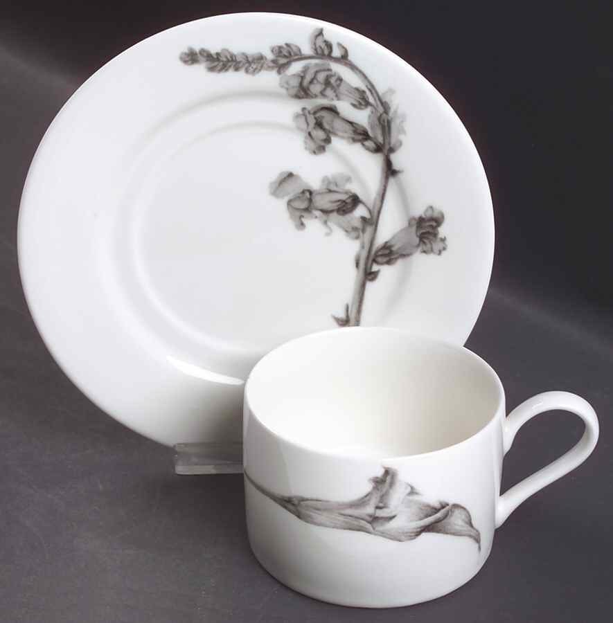 Botanica Flat Cup & Saucer Set by 222 Fifth (PTS)-1