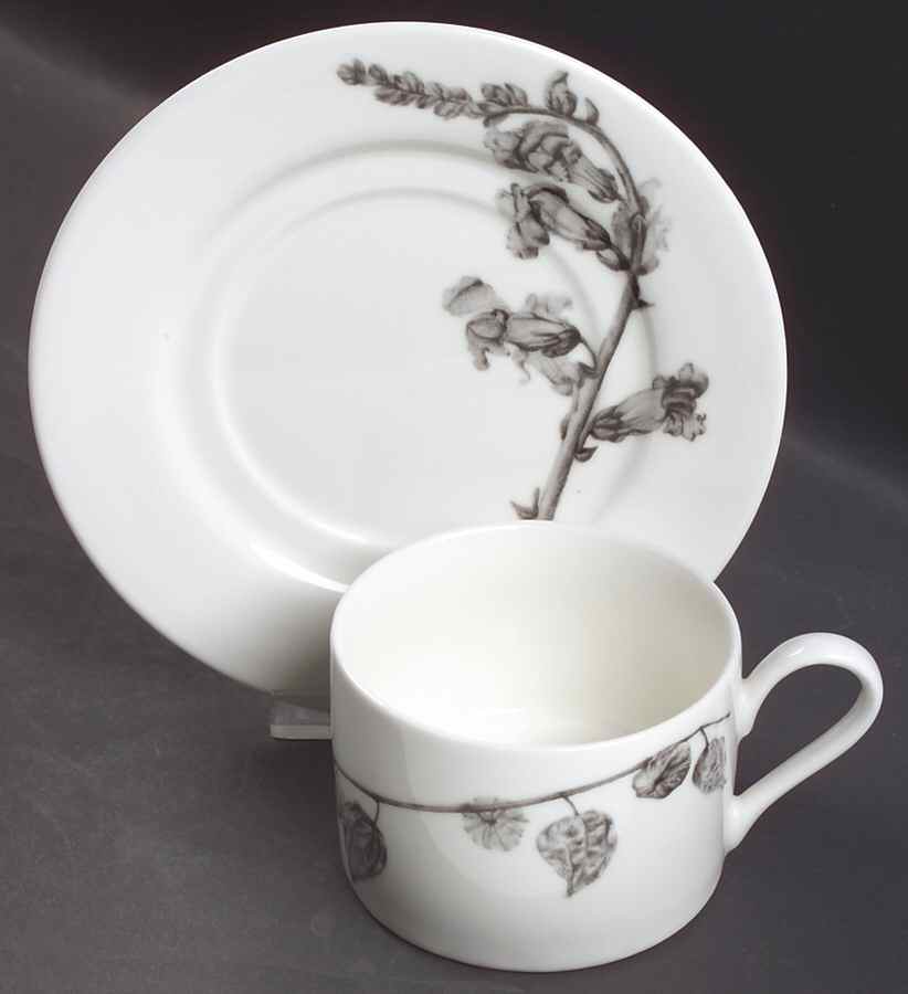 Botanica Flat Cup & Saucer Set by 222 Fifth (PTS)-1