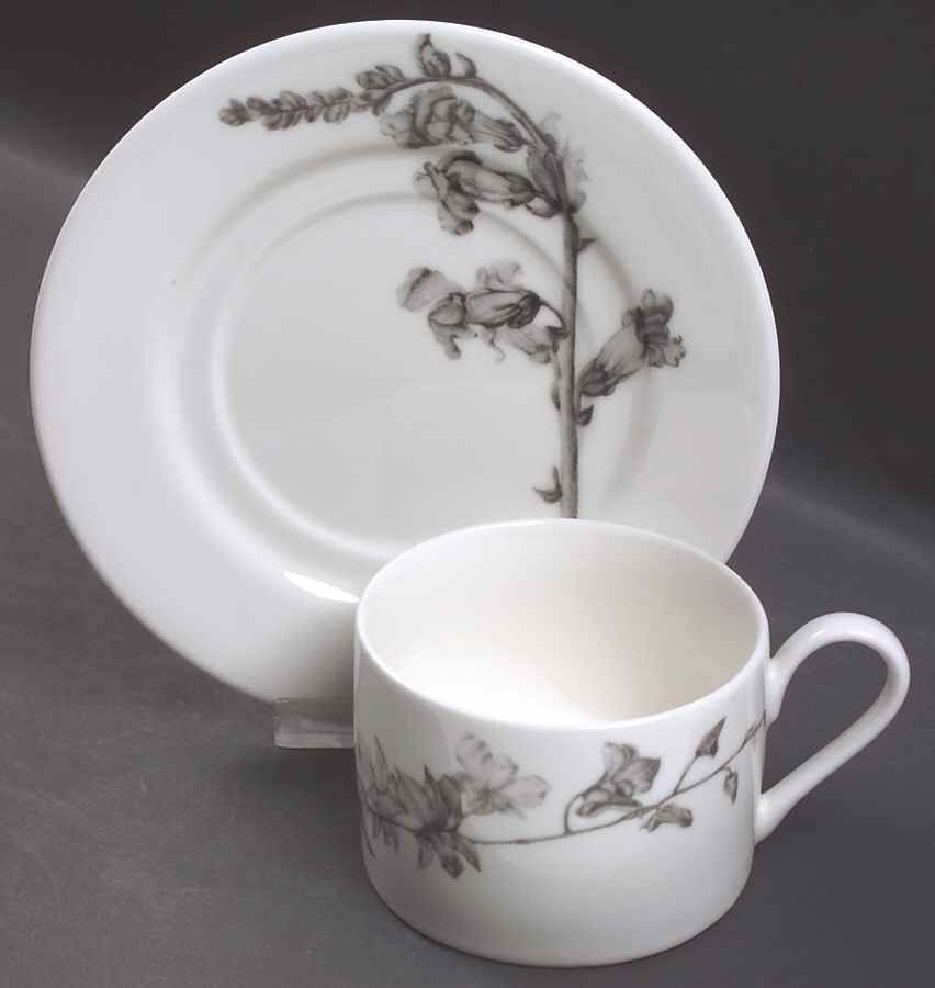 Botanica Flat Cup & Saucer Set by 222 Fifth (PTS)-1
