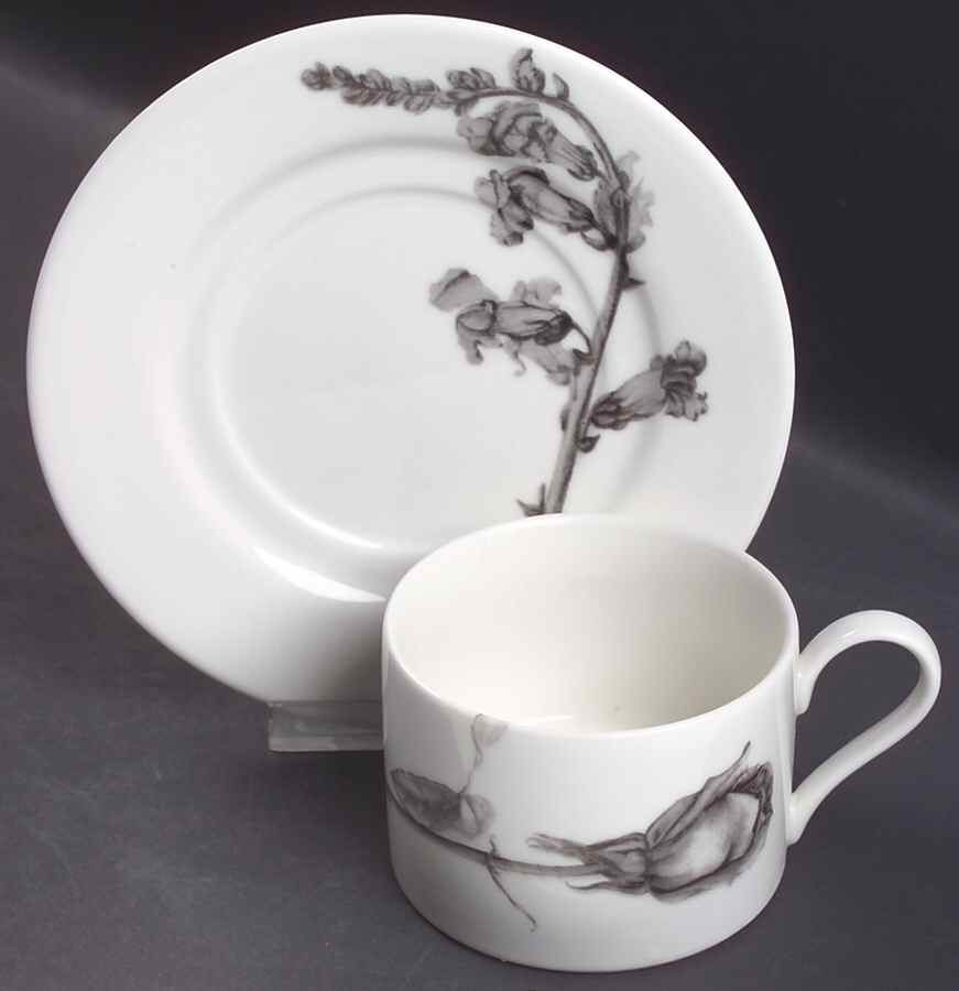 Botanica Flat Cup & Saucer Set by 222 Fifth (PTS)-1