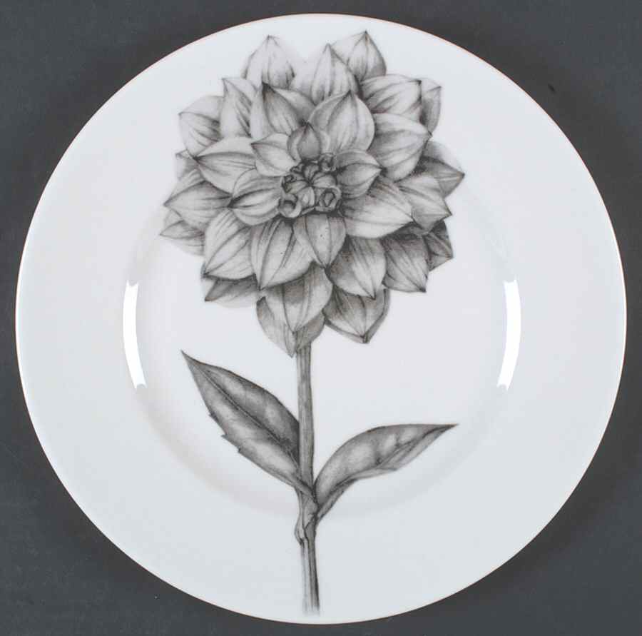 Botanica Dinner Plate by 222 Fifth (PTS)-1