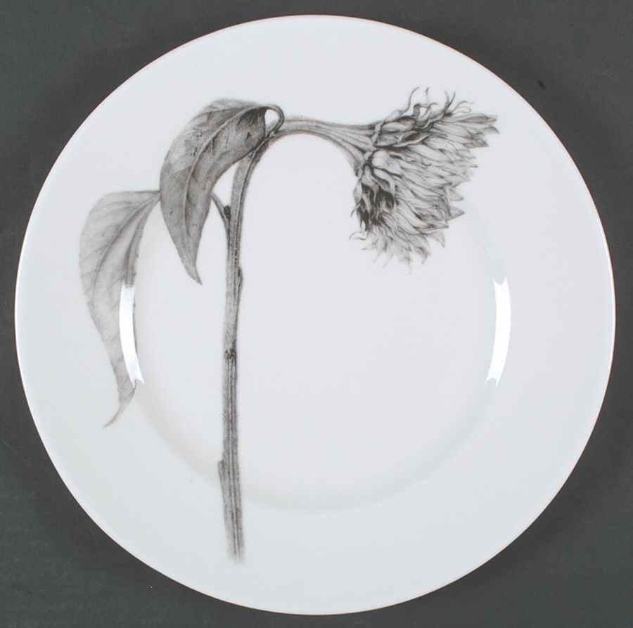 Botanica Dinner Plate by 222 Fifth (PTS)-1