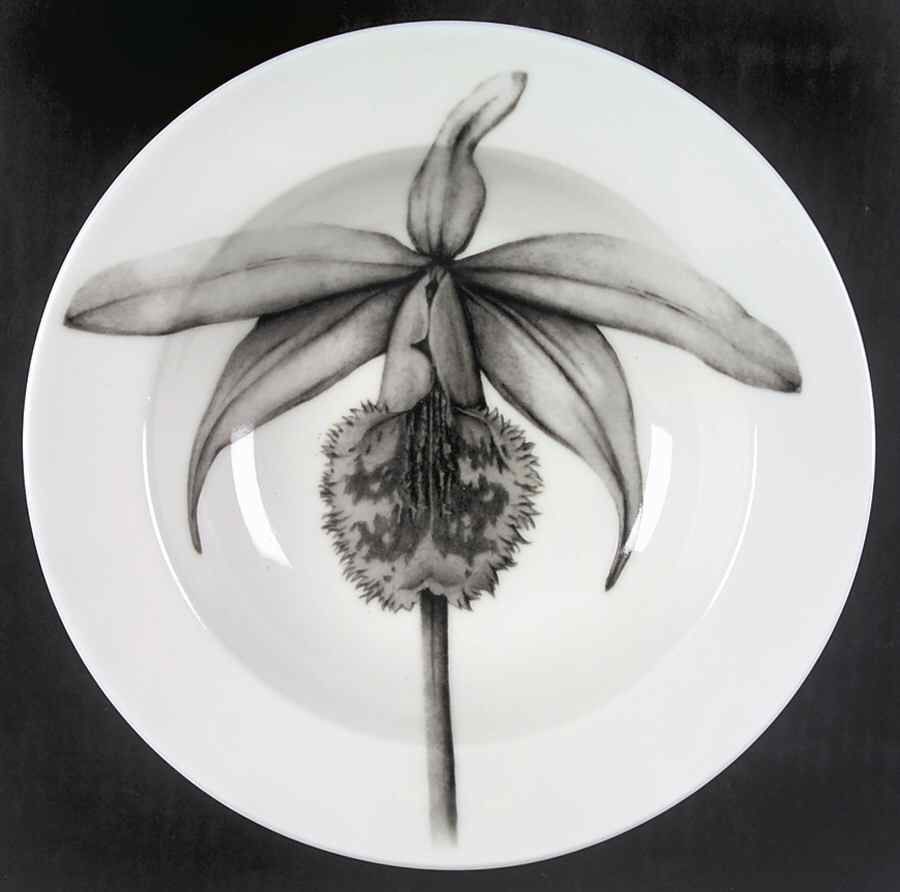 Botanica Large Rim Soup Bowl by 222 Fifth (PTS)-1