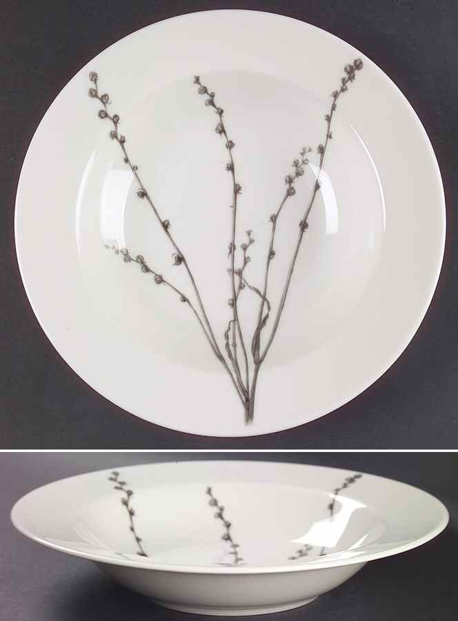 Botanica Large Rim Soup Bowl by 222 Fifth (PTS)-1