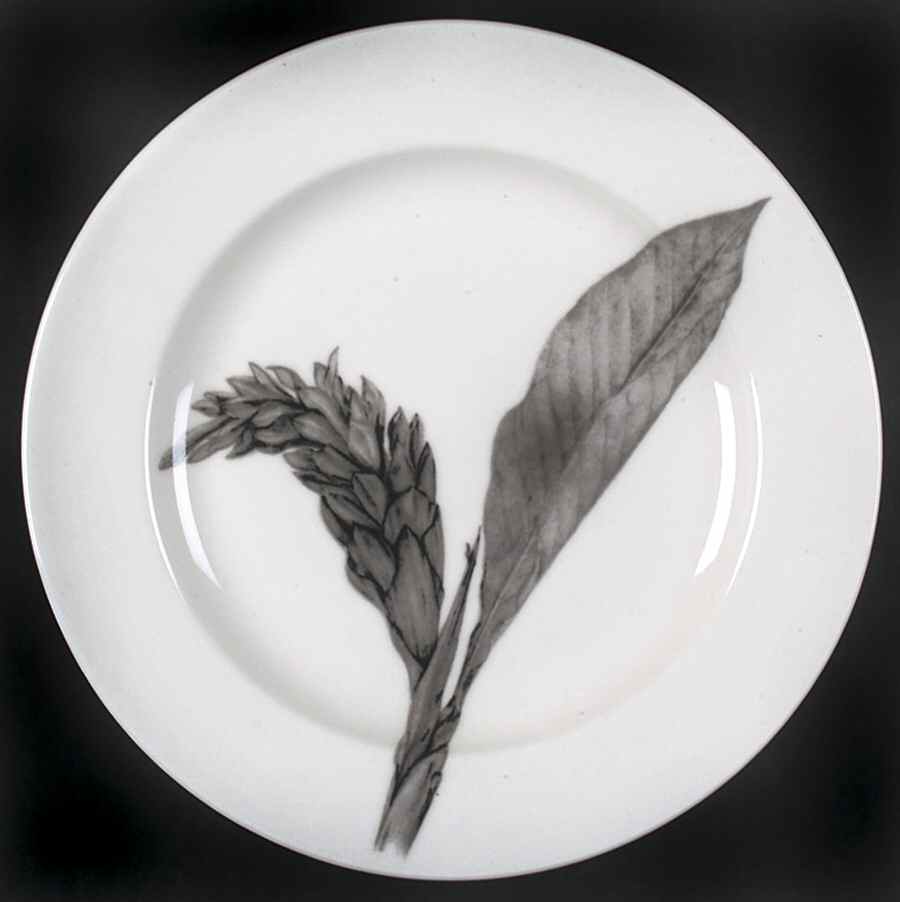 Botanica Salad Plate by 222 Fifth (PTS)-1