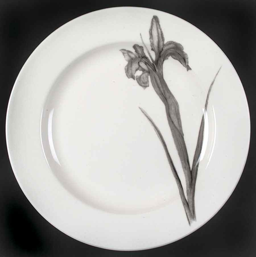 Botanica Salad Plate by 222 Fifth (PTS)-1
