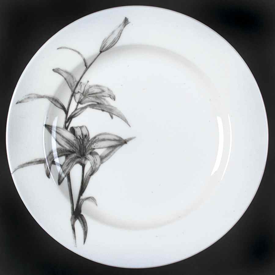 Botanica Salad Plate by 222 Fifth (PTS)-1