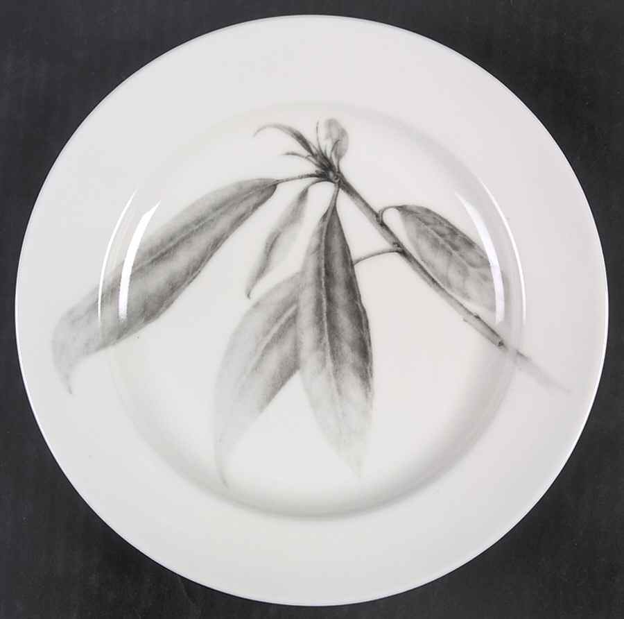 Botanica Salad Plate by 222 Fifth (PTS)-1