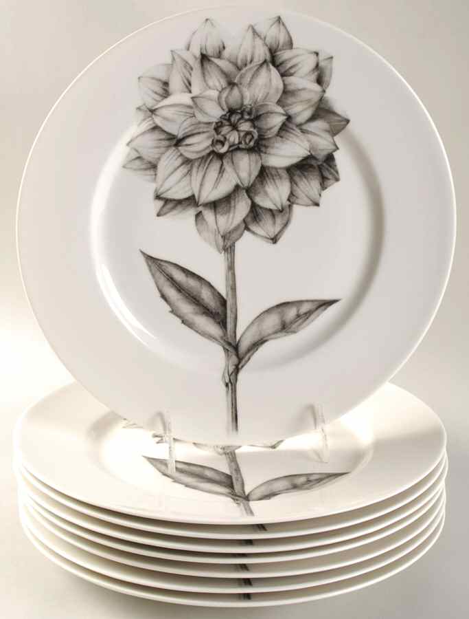 Botanica Dinner Plate - Set of 8 Motif 1 by 222 Fifth (PTS)-1
