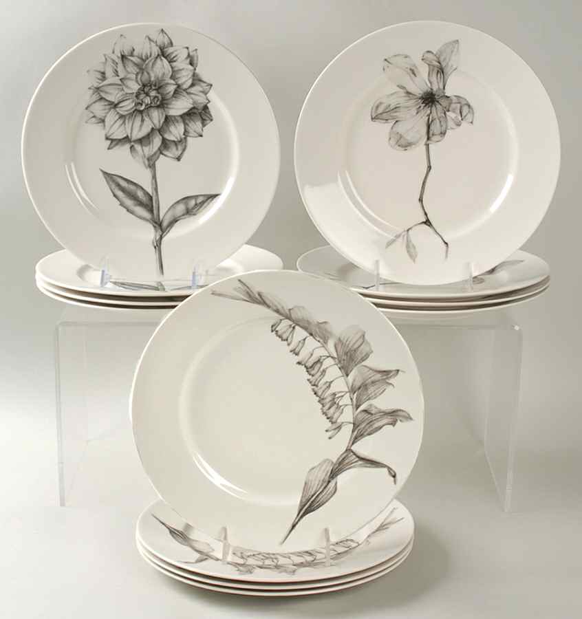 Botanica (Set of 12, 4ea motif 1-3 ) Dinner Plate by 222 Fifth (PTS)-1