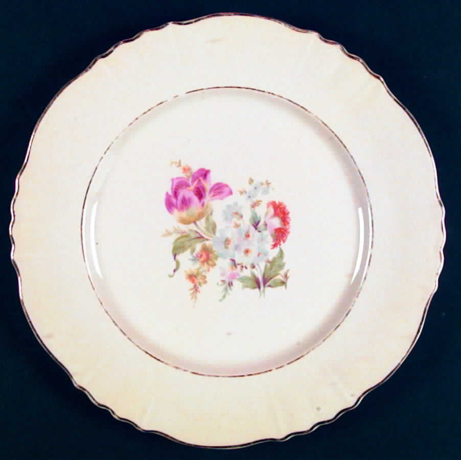 ABE34 Dinner Plate by Aberdeen-1