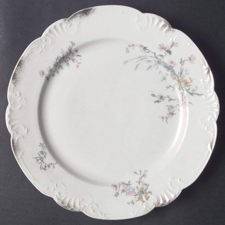 AUS274 Dinner Plate by Austria-1