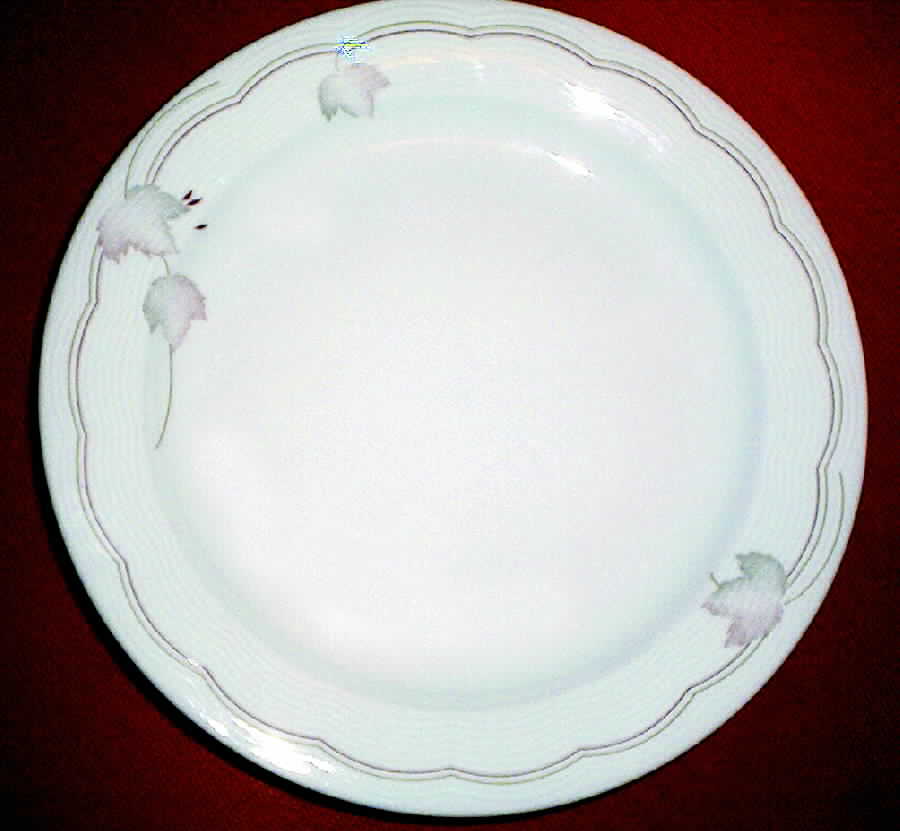ARZ107 Dinner Plate by Arzberg-1