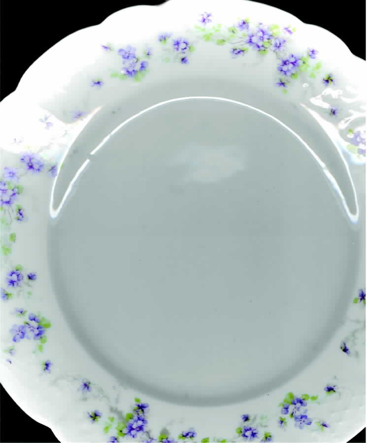 1399 Dinner Plate by Austria-1