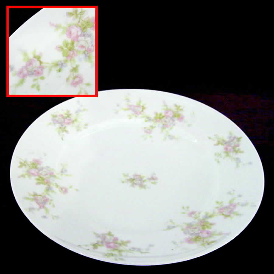 5475 Dinner Plate by Austria-1