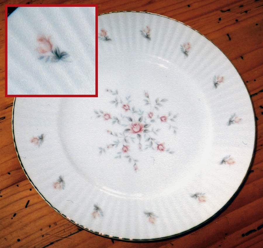 Christine Dinner Plate by American Queen-1