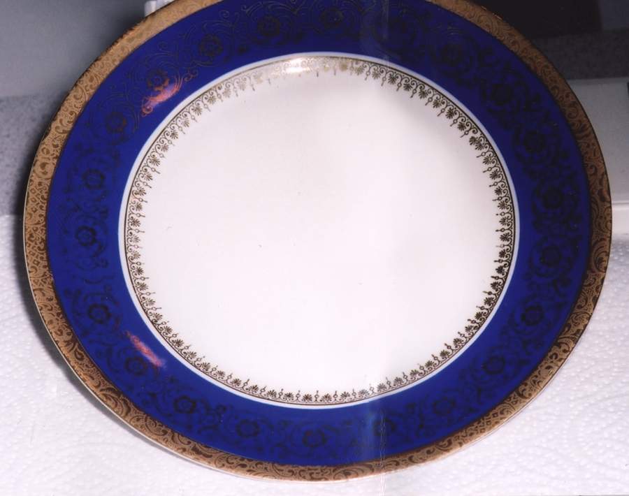 412 Dinner Plate by Alka-1