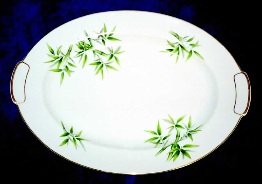 AIC25 14" Oval Serving Platter by Aichi-1