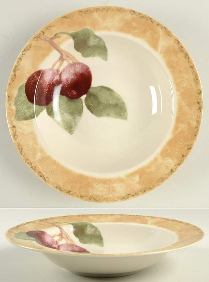 Cortland Large Rim Soup Bowl by 222 Fifth (PTS)-1