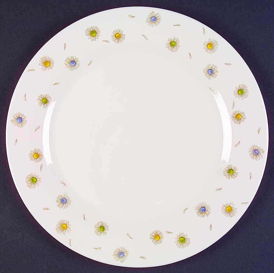 ARP22 Dinner Plate by Arcopal-1