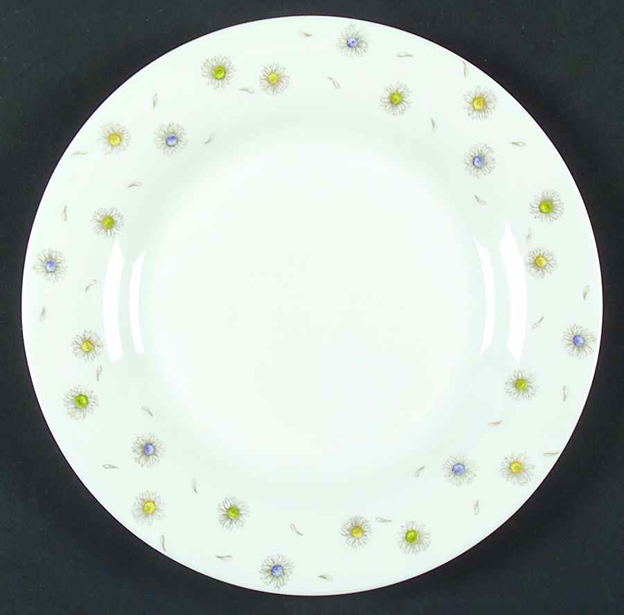 ARP22 Salad Plate by Arcopal-1