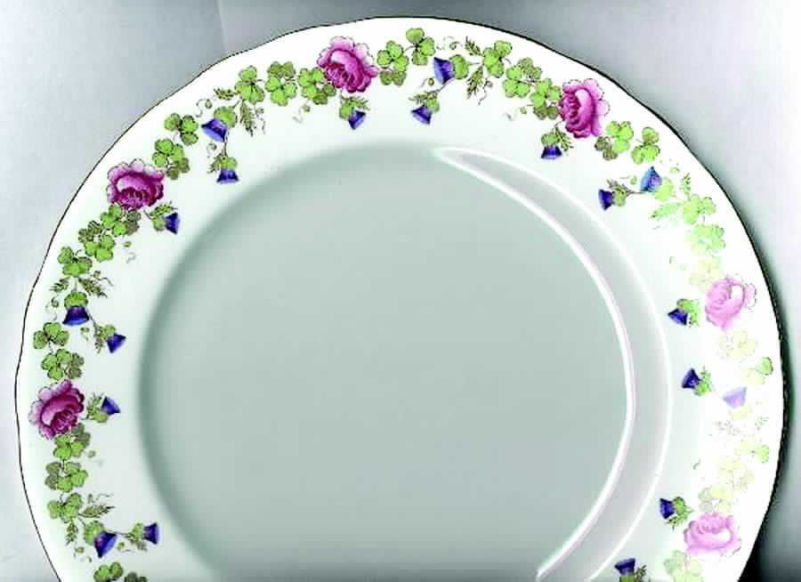 C1070 Dinner Plate by John  Aynsley & Sons-1
