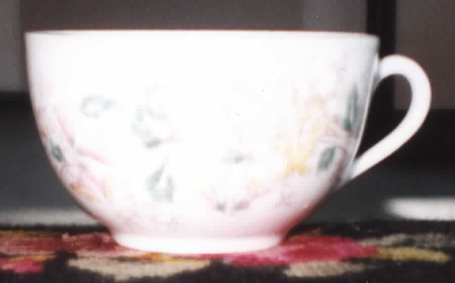 AUS283 Flat Cup by Austria-1