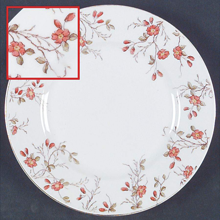 AUS287 Salad Plate by Austria-1