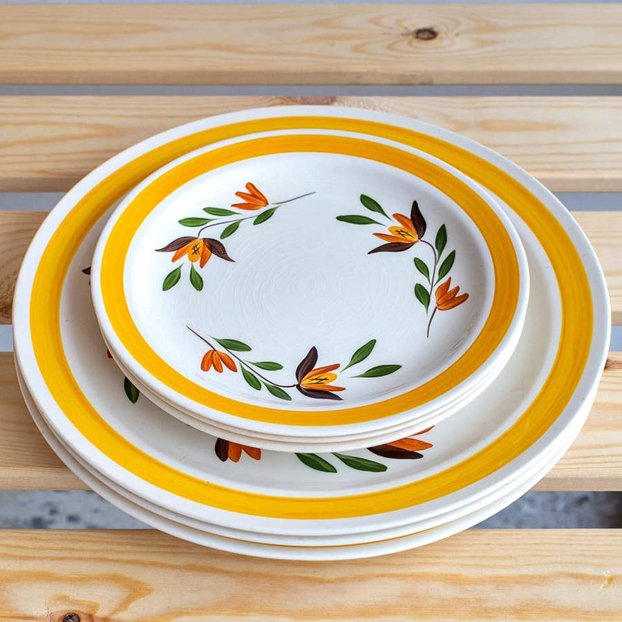 ACI4 Dinner Plate by ACI-1