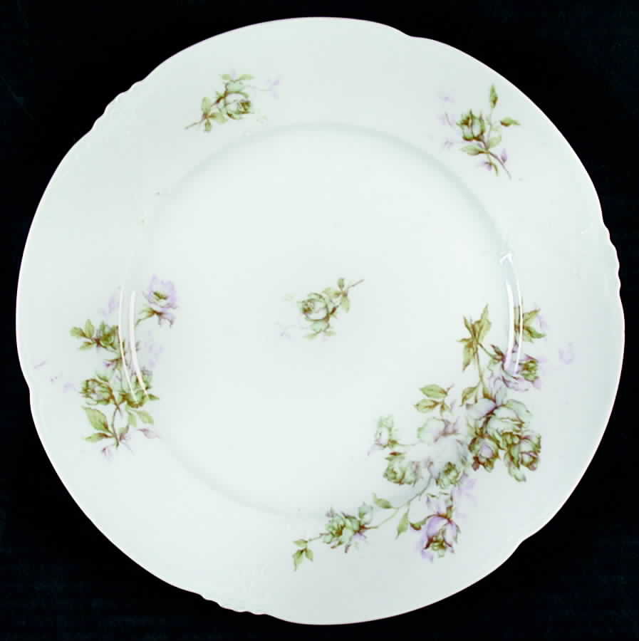 AUS289 Dinner Plate by Austria-1