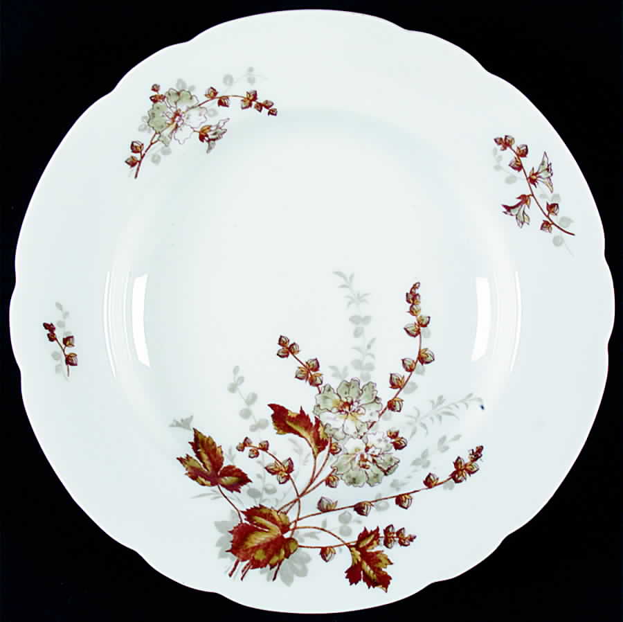 AUS290 Rim Soup Bowl by Austria-1