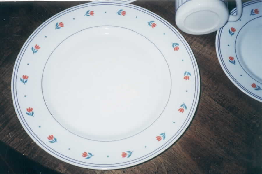 ARP26 Dinner Plate by Arcopal-1
