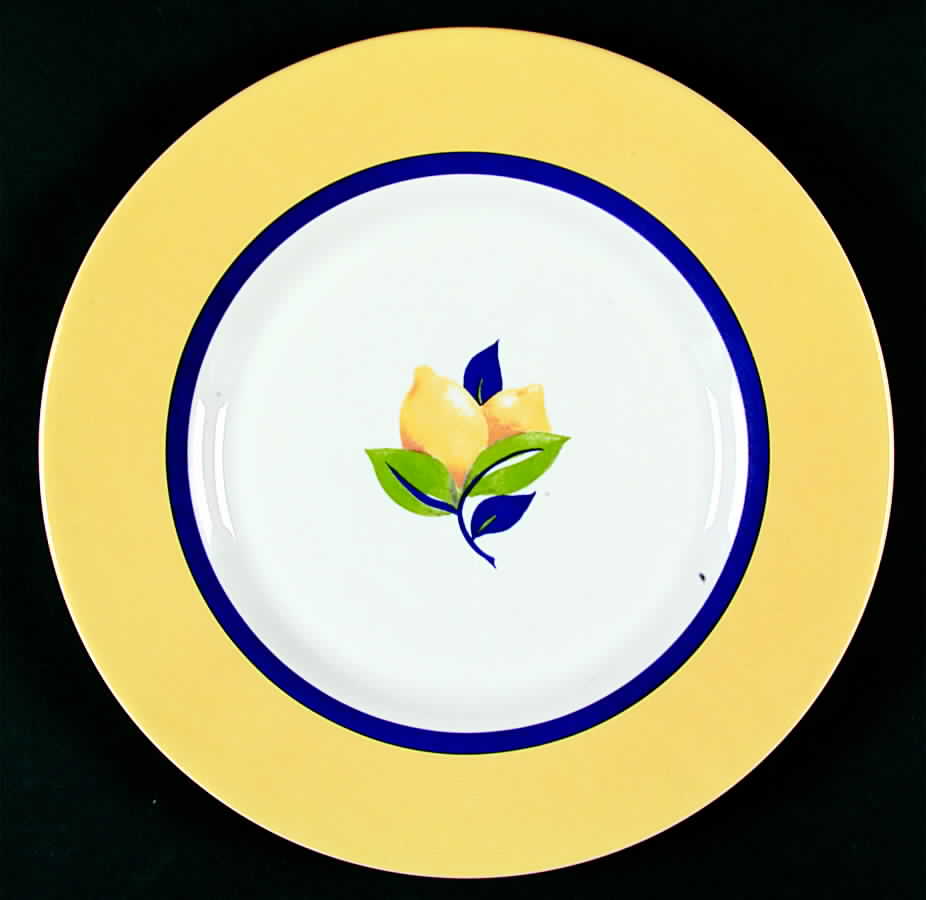 Zest Dinner Plate by Arcopal-1