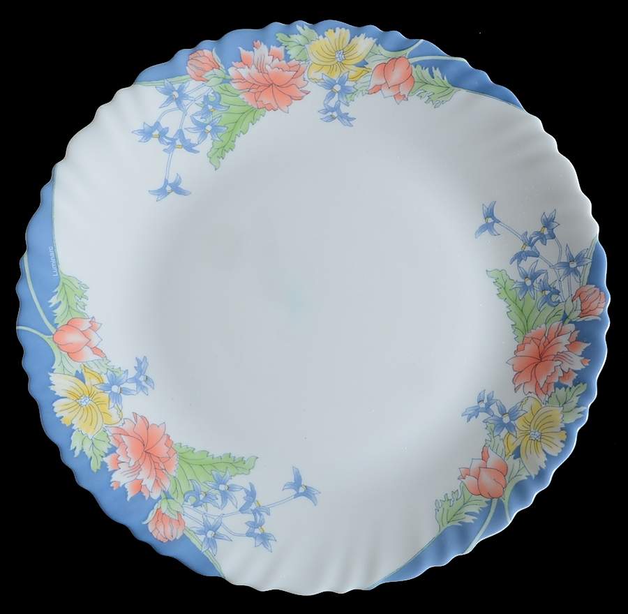 Florine Dinner Plate by Arcopal-1