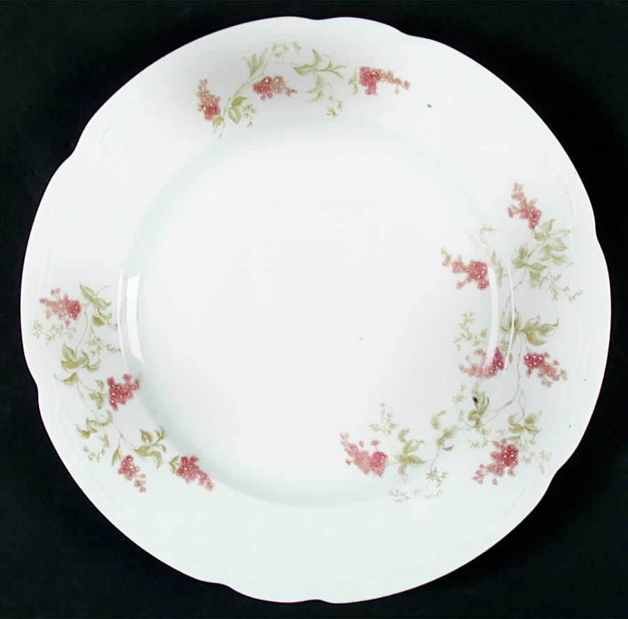 AUS296 Dinner Plate by Austria-1