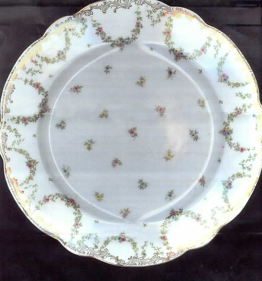 AUS299 Dinner Plate by Austria-1