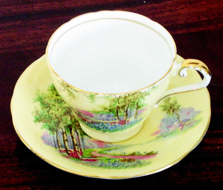 C493-7 Footed Cup & Saucer Set by John  Aynsley & Sons-1
