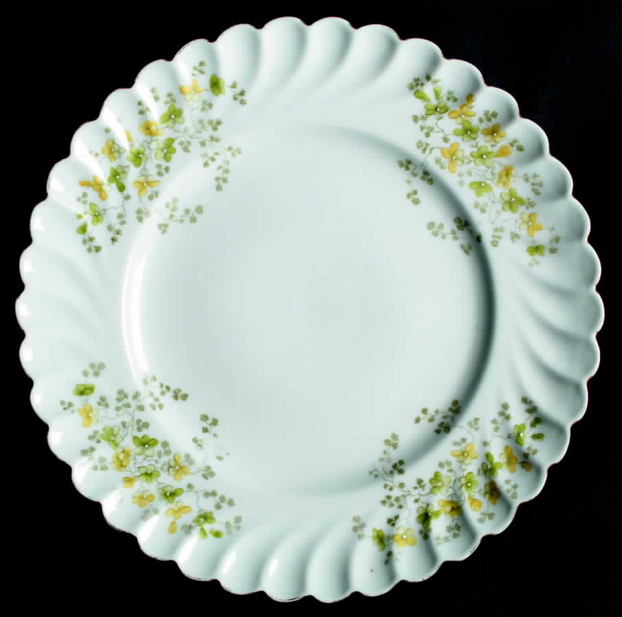 ALT346 Dinner Plate by Altrohlau-1