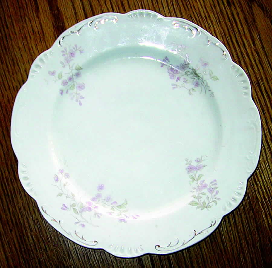 AUS302 Dinner Plate by Austria-1